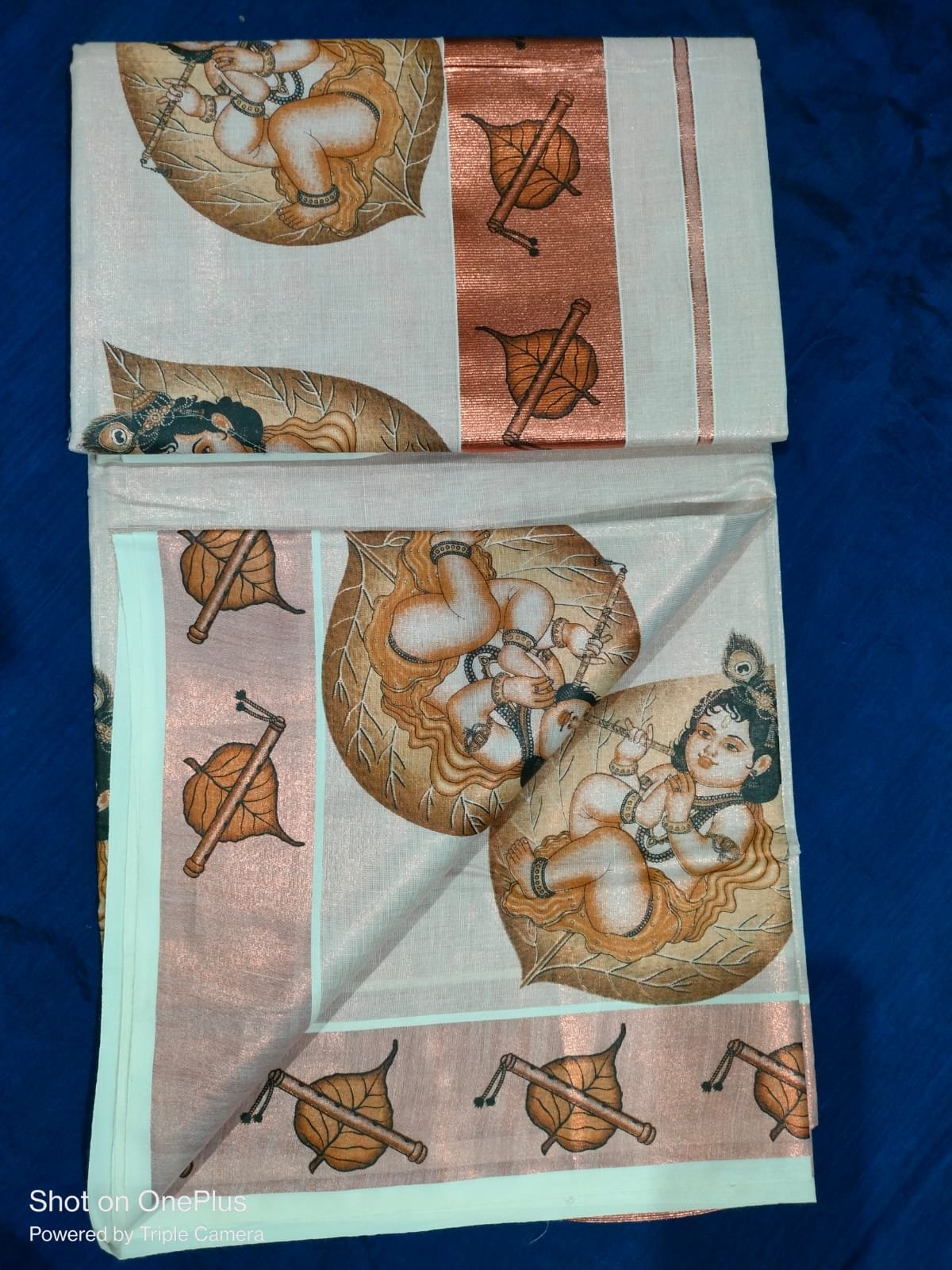 ALILA KANNAN PRINTED SET SAREE